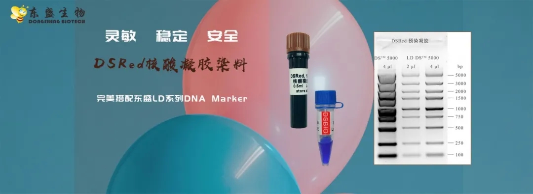 东盛生物：国际医疗器械展览会